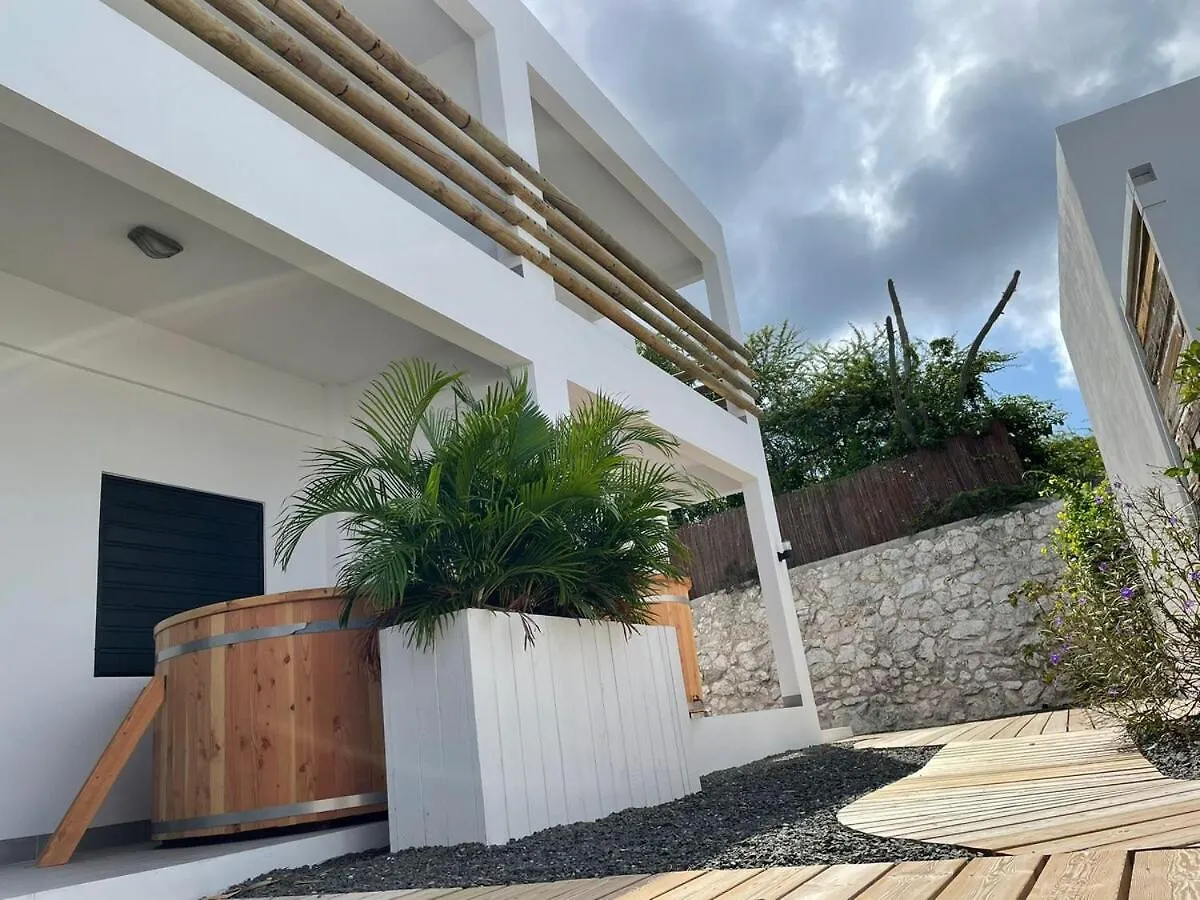 Boho Garden Palm Stylish Tropical Apartment Jan Thiel Curacao