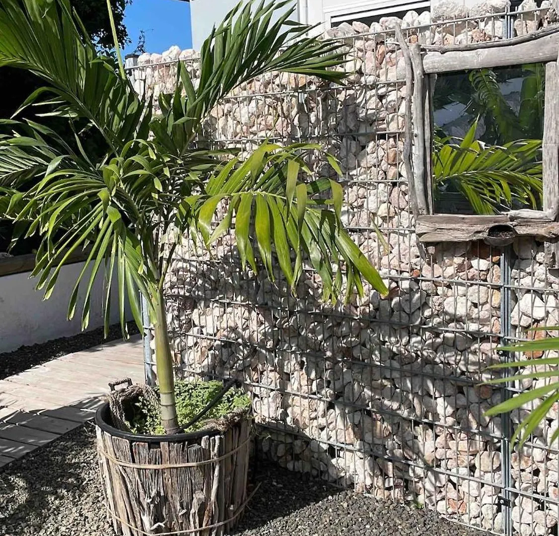 Boho Garden Palm Stylish Tropical Apartment Jan Thiel